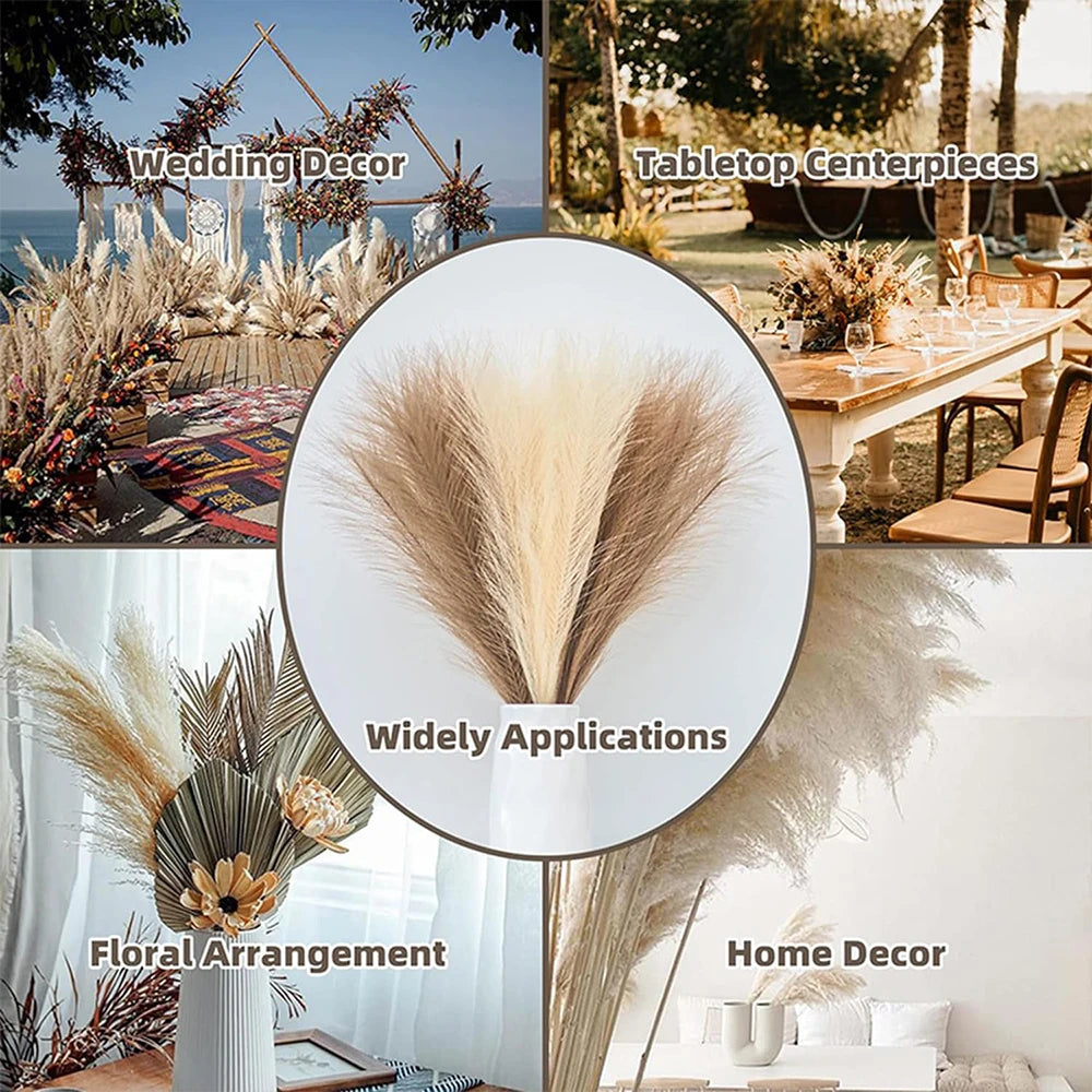 Fluffy Pampas Grass Home Decoration